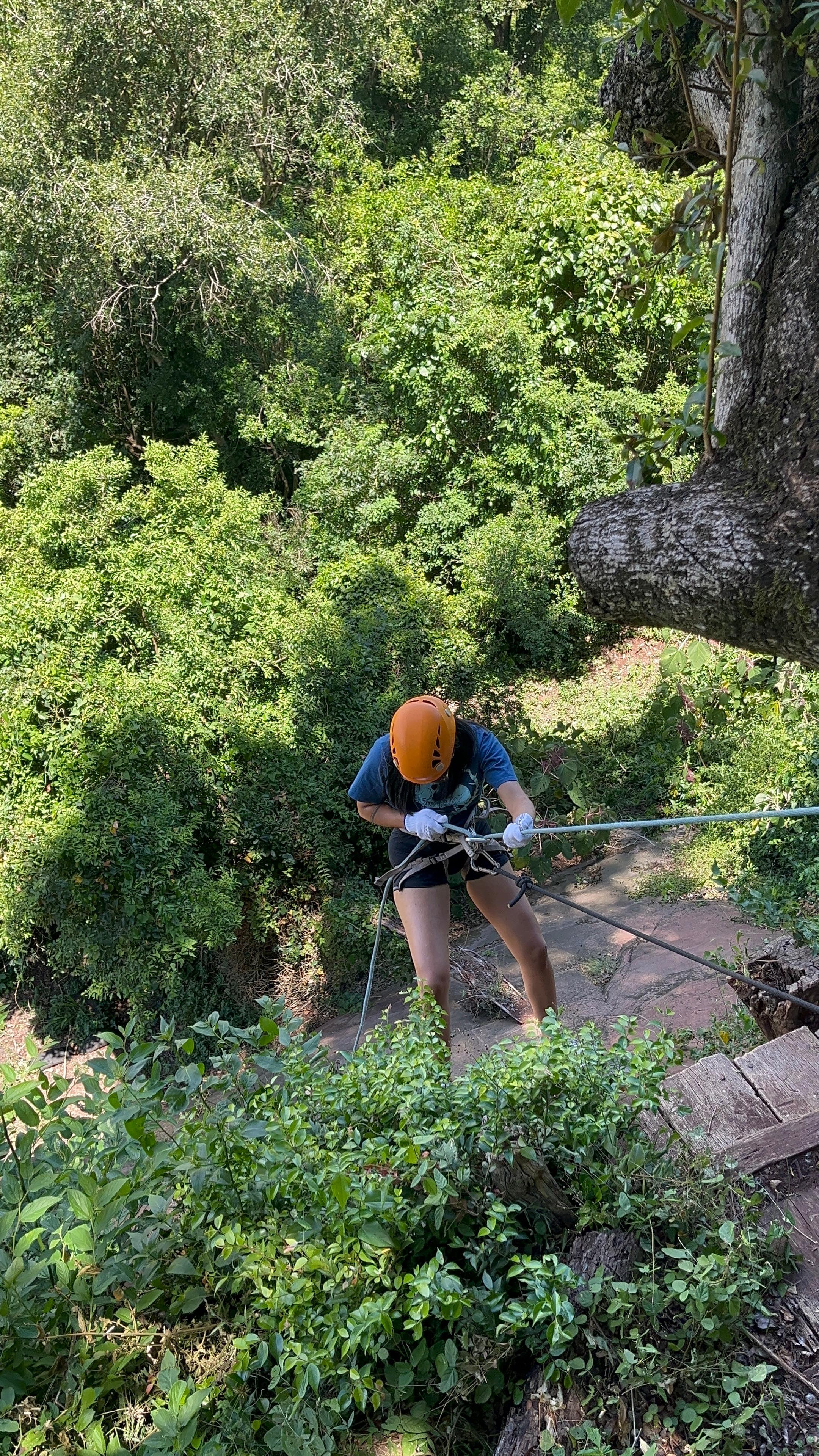 Scout — Tropa San Jorge